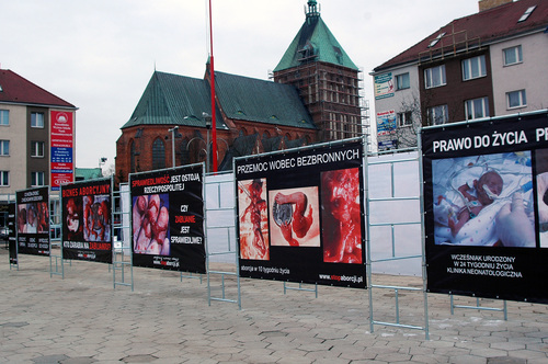 Poland, abortion, slide 1.JPG