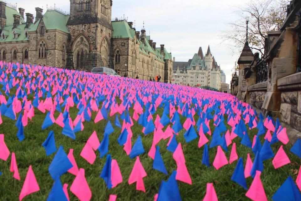 Canadian pro-life display pink and blue flags abortion