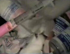 Thumbnail image for vial.jpg