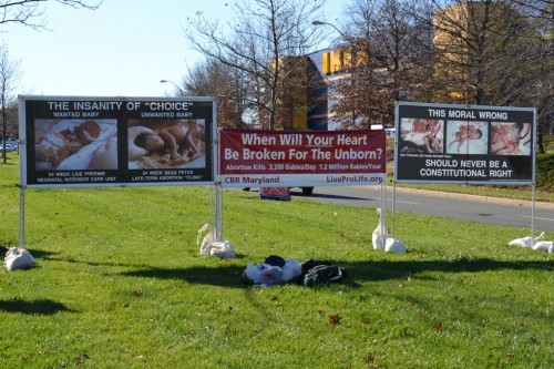 photos of abortion victims