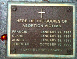 photos of abortion victims