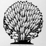 NB-Go-Forth-and-Multiply