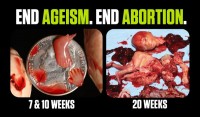 Created Equal anti-abortion drop card